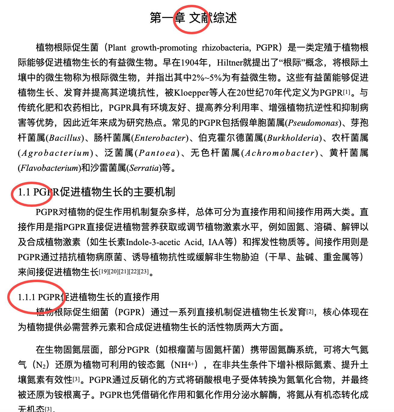 docfit 跑完 + 每条改动的 Word 批注 (改后)