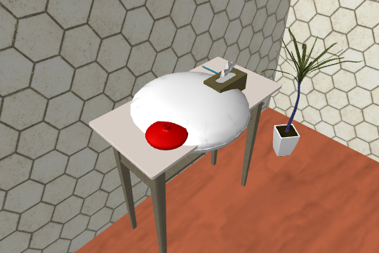FPV view